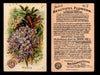 Beautiful Flowers New Series You Pick Singles Card #1-#60 Arm & Hammer 1888 J16 #2 Wisteria  - TvMovieCards.com