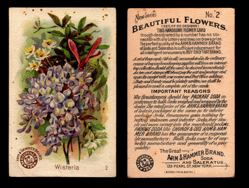 Beautiful Flowers New Series You Pick Singles Card #1-#60 Arm & Hammer 1888 J16 #2 Wisteria  - TvMovieCards.com
