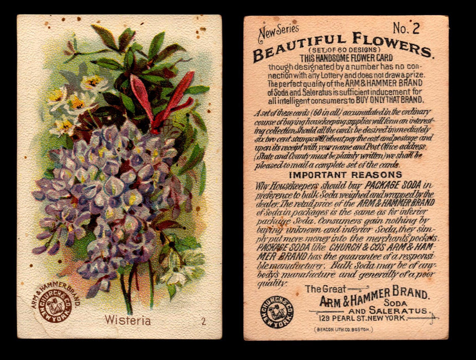 Beautiful Flowers New Series You Pick Singles Card #1-#60 Arm & Hammer 1888 J16 #2 Wisteria  - TvMovieCards.com