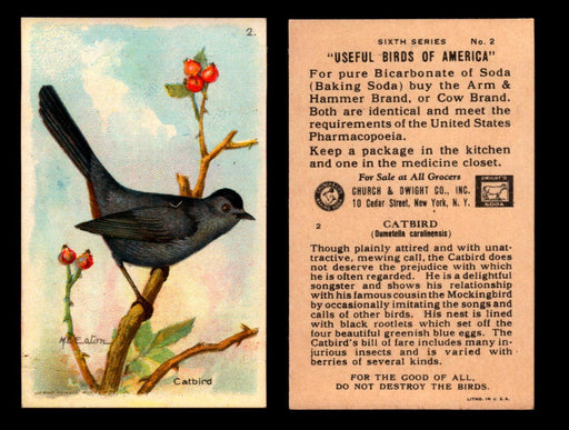 Birds - Useful Birds of America 6th Series You Pick Singles Church & Dwight J-9 #2 Catbird  - TvMovieCards.com