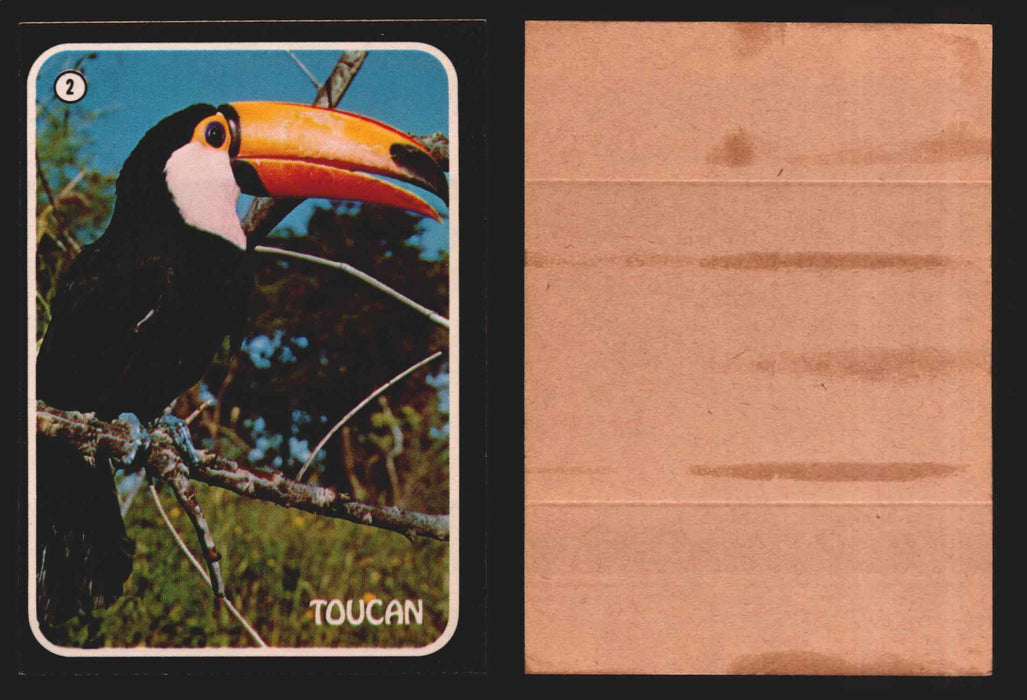 Zoo's Who Topps Animal Sticker Trading Cards You Pick Singles #1-40 1975 #2 Toucan  - TvMovieCards.com