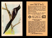 Birds - Useful Birds of America 8th Series You Pick Singles Church & Dwight J-9 #2 American Magpie  - TvMovieCards.com