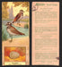 1924 Patterson's Bird Chocolate Vintage Trading Cards U Pick Singles #1-46 2 Killdeer Plover  - TvMovieCards.com