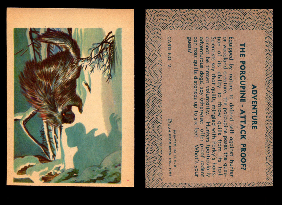 1956 Adventure Vintage Trading Cards Gum Products #1-#100 You Pick Singles #2 The Porcupine  - TvMovieCards.com
