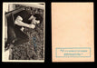 1962 Topps Casey & Kildare Vintage Trading Cards You Pick Singles #1-110 #2  - TvMovieCards.com