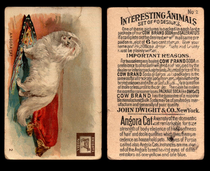 Interesting Animals You Pick Single Card #1-60 1892 J10 Church Arm & Hammer #2 Angora Cat Dwight Soda  - TvMovieCards.com