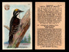 Birds - Useful Birds of America 3rd Series You Pick Singles Church & Dwight J-7 #30 American Three-toed Woodpecker  - TvMovieCards.com