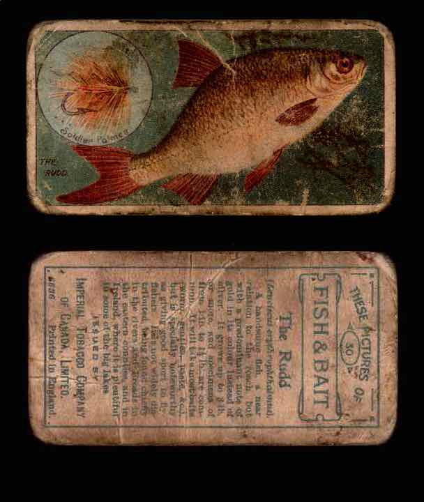 1910 Fish and Bait Imperial Tobacco Vintage Trading Cards You Pick Singles #1-50 #30 THe Rudd  - TvMovieCards.com