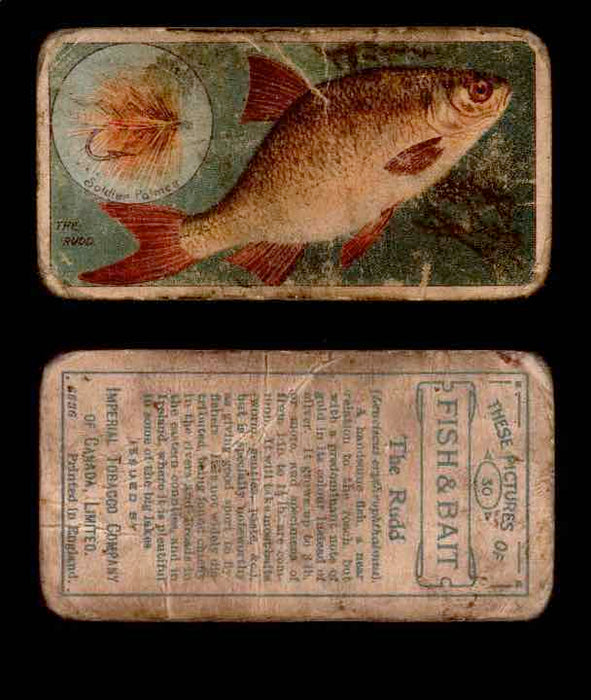 1910 Fish and Bait Imperial Tobacco Vintage Trading Cards You Pick Singles #1-50 #30 THe Rudd  - TvMovieCards.com
