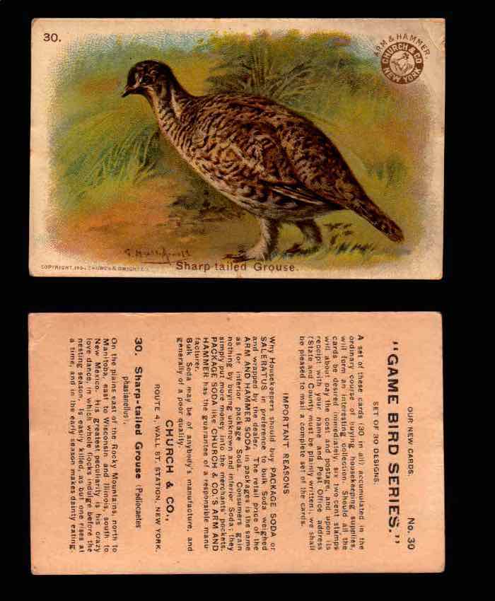 1904 Arm & Hammer Game Bird Series Vintage Trading Cards Singles #1-30 #30 Sharp Tailed Grouse  - TvMovieCards.com