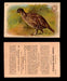 1904 Arm & Hammer Game Bird Series Vintage Trading Cards Singles #1-30 #30 Sharp Tailed Grouse  - TvMovieCards.com