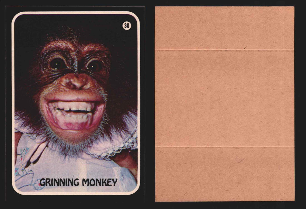 Zoo's Who Topps Animal Sticker Trading Cards You Pick Singles #1-40 1975 #30 Grinning Monkey  - TvMovieCards.com