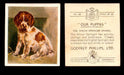 1936 Godfrey Phillips "Our Puppies" Tobacco You Pick Singles Trading Cards #1-30 #30 The Welsch Springer Spaniel  - TvMovieCards.com