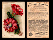 Beautiful Flowers New Series You Pick Singles Card #1-#60 Arm & Hammer 1888 J16 #30 Cactus  - TvMovieCards.com