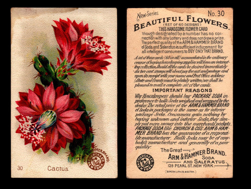 Beautiful Flowers New Series You Pick Singles Card #1-#60 Arm & Hammer 1888 J16 #30 Cactus  - TvMovieCards.com