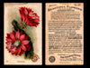 Beautiful Flowers New Series You Pick Singles Card #1-#60 Arm & Hammer 1888 J16 #30 Cactus  - TvMovieCards.com