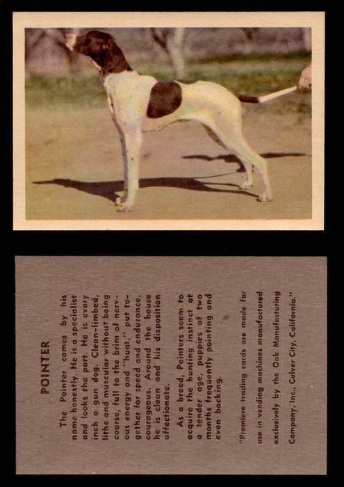 1957 Dogs Premiere Oak Man. R-724-4 Vintage Trading Cards You Pick Singles #1-42 #31 Pointer  - TvMovieCards.com