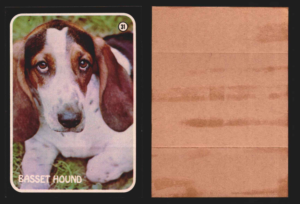 Zoo's Who Topps Animal Sticker Trading Cards You Pick Singles #1-40 1975 #31 Basset Hound  - TvMovieCards.com