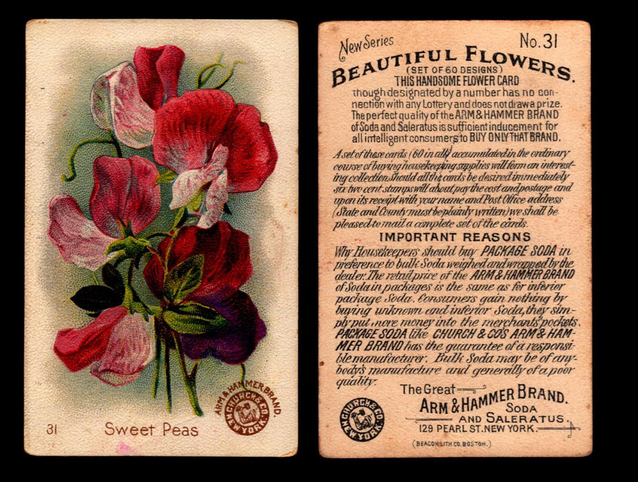 Beautiful Flowers New Series You Pick Singles Card #1-#60 Arm & Hammer 1888 J16 #31 Sweet Peas  - TvMovieCards.com