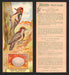 1924 Patterson's Bird Chocolate Vintage Trading Cards U Pick Singles #1-46 31 Red-Naped Sapsucker  - TvMovieCards.com