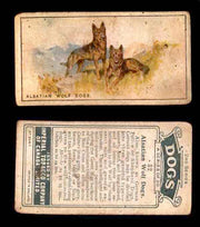 1925 Dogs 2nd Series Imperial Tobacco Vintage Trading Cards U Pick Singles #1-50 #32 Alsatian Wolf Dogs  - TvMovieCards.com