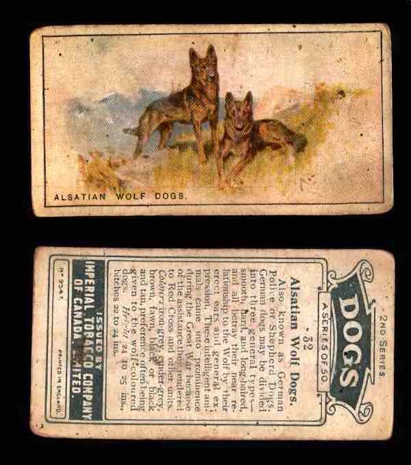 1925 Dogs 2nd Series Imperial Tobacco Vintage Trading Cards U Pick Singles #1-50 #32 Alsatian Wolf Dogs  - TvMovieCards.com