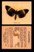 1925 Harry Horne Butterflies FC2 Vintage Trading Cards You Pick Singles #1-50 #32  - TvMovieCards.com