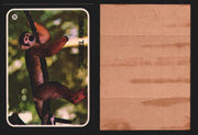 Zoo's Who Topps Animal Sticker Trading Cards You Pick Singles #1-40 1975 #32 Squirrel Monkey  - TvMovieCards.com