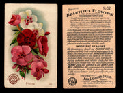 Beautiful Flowers New Series You Pick Singles Card #1-#60 Arm & Hammer 1888 J16 #32 Phlox  - TvMovieCards.com