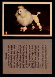 1957 Dogs Premiere Oak Man. R-724-4 Vintage Trading Cards You Pick Singles #1-42 #33 Poodle  - TvMovieCards.com