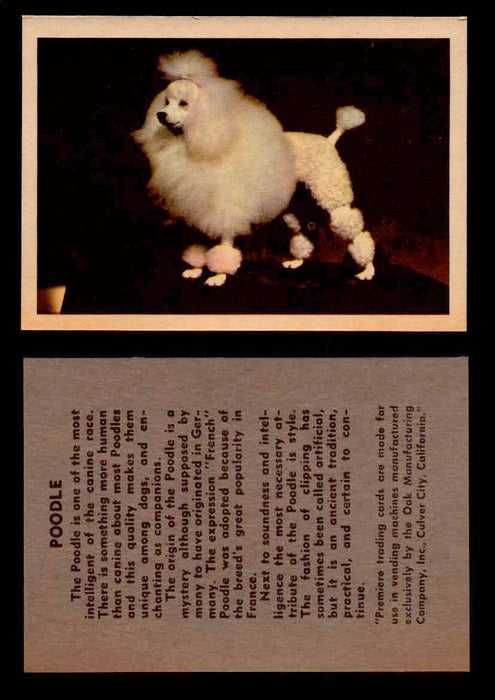 1957 Dogs Premiere Oak Man. R-724-4 Vintage Trading Cards You Pick Singles #1-42 #33 Poodle  - TvMovieCards.com