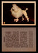 1957 Dogs Premiere Oak Man. R-724-4 Vintage Trading Cards You Pick Singles #1-42 #33 Poodle  - TvMovieCards.com