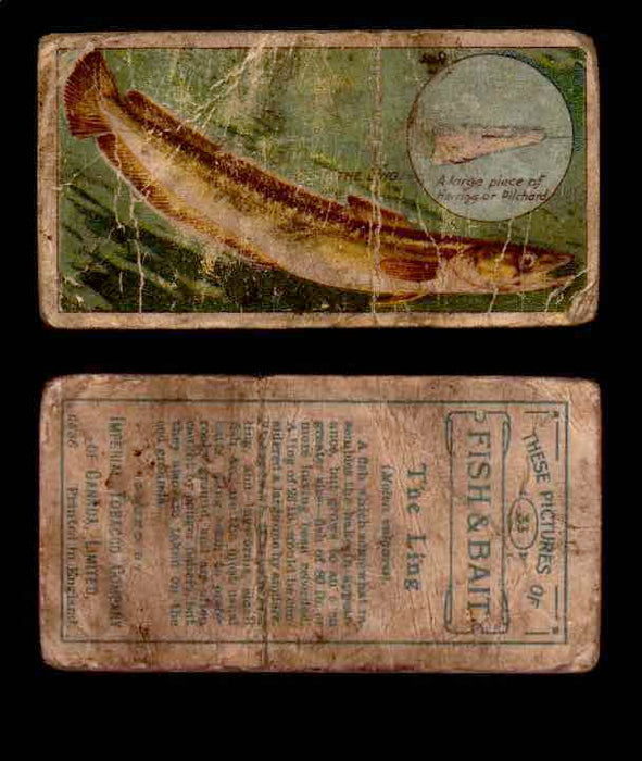 1910 Fish and Bait Imperial Tobacco Vintage Trading Cards You Pick Singles #1-50 #33 The Ling  - TvMovieCards.com