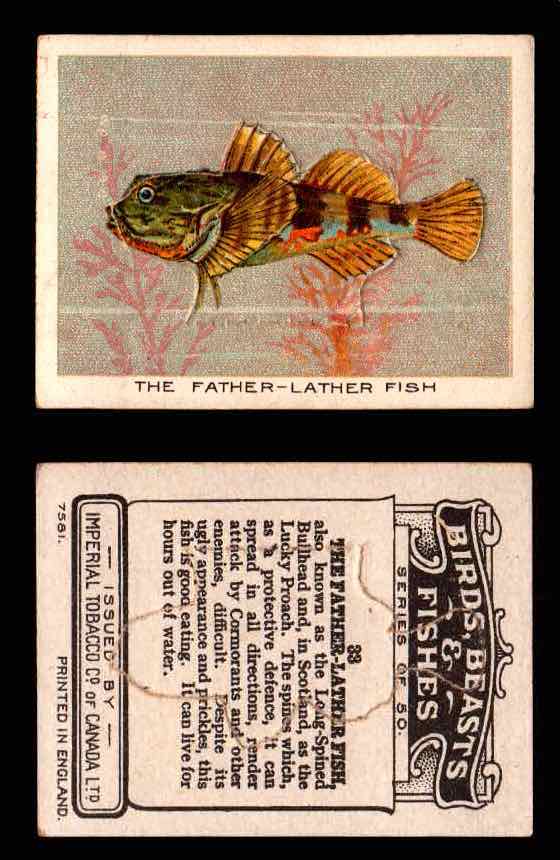 1923 Birds, Beasts, Fishes C1 Imperial Tobacco Vintage Trading Cards Singles #33 The Father-Lather Fish  - TvMovieCards.com