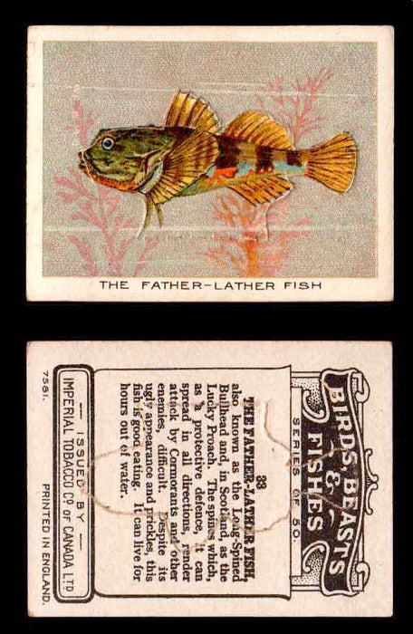 1923 Birds, Beasts, Fishes C1 Imperial Tobacco Vintage Trading Cards Singles #33 The Father-Lather Fish  - TvMovieCards.com