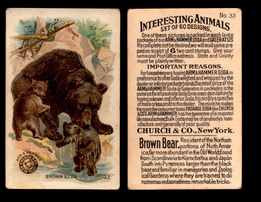 Interesting Animals You Pick Single Card #1-60 1892 J10 Church Arm & Hammer #33 Brown Bear  - TvMovieCards.com