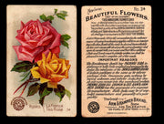 Beautiful Flowers New Series You Pick Singles Card #1-#60 Arm & Hammer 1888 J16 #34 Roses - La France - Tea Rose  - TvMovieCards.com
