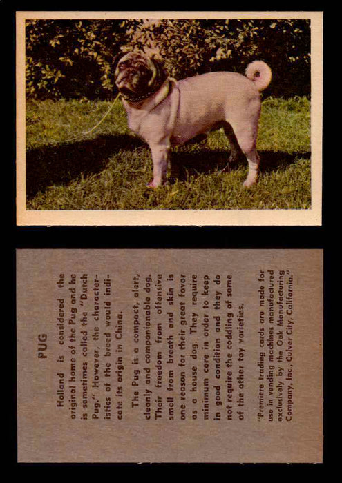 1957 Dogs Premiere Oak Man. R-724-4 Vintage Trading Cards You Pick Singles #1-42 #34 Pug  - TvMovieCards.com