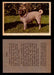 1957 Dogs Premiere Oak Man. R-724-4 Vintage Trading Cards You Pick Singles #1-42 #34 Pug  - TvMovieCards.com