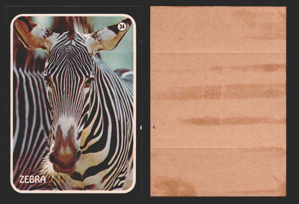 Zoo's Who Topps Animal Sticker Trading Cards You Pick Singles #1-40 1975 #34 Zebra  - TvMovieCards.com