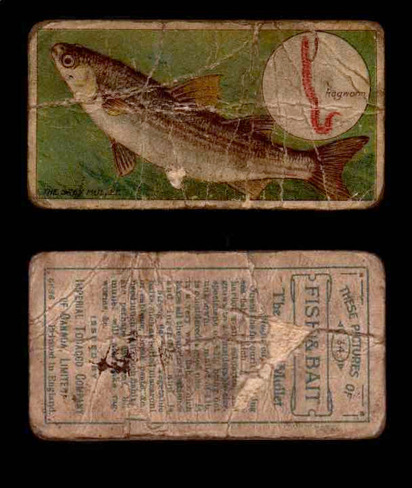 1910 Fish and Bait Imperial Tobacco Vintage Trading Cards You Pick Singles #1-50 #34 The Grey Mullet  - TvMovieCards.com