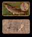 1910 Fish and Bait Imperial Tobacco Vintage Trading Cards You Pick Singles #1-50 #34 The Grey Mullet  - TvMovieCards.com