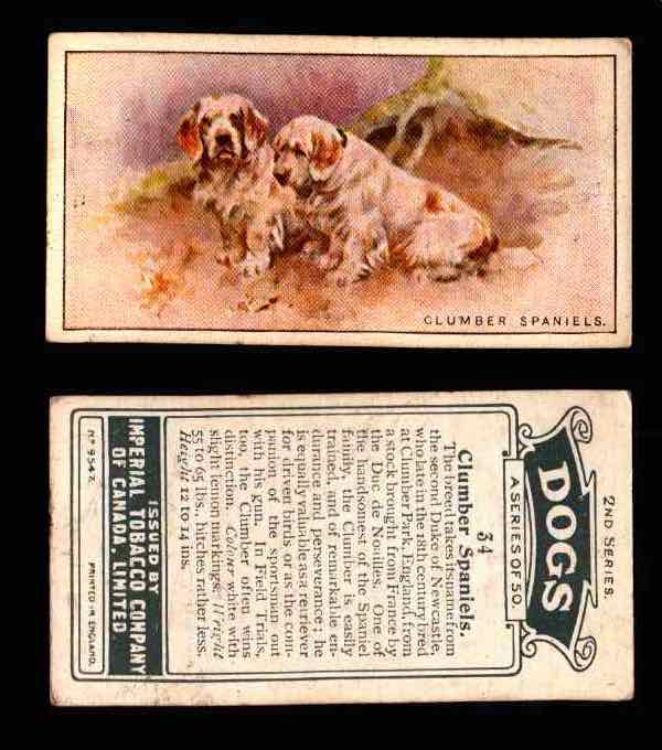 1925 Dogs 2nd Series Imperial Tobacco Vintage Trading Cards U Pick Singles #1-50 #34 Clumber Spaniels  - TvMovieCards.com
