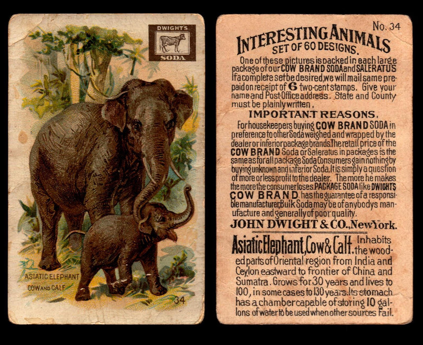 Interesting Animals You Pick Single Card #1-60 1892 J10 Church Arm & Hammer #34 Asiatic Elephant Dwight Soda  - TvMovieCards.com