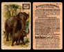 Interesting Animals You Pick Single Card #1-60 1892 J10 Church Arm & Hammer #34 Asiatic Elephant Dwight Soda  - TvMovieCards.com