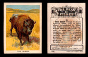 1923 Birds, Beasts, Fishes C1 Imperial Tobacco Vintage Trading Cards Singles #35 The Bison  - TvMovieCards.com