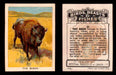 1923 Birds, Beasts, Fishes C1 Imperial Tobacco Vintage Trading Cards Singles #35 The Bison  - TvMovieCards.com