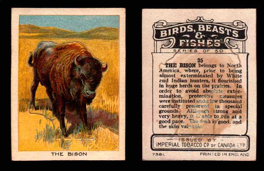 1923 Birds, Beasts, Fishes C1 Imperial Tobacco Vintage Trading Cards Singles #35 The Bison  - TvMovieCards.com