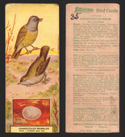 1924 Patterson's Bird Chocolate Vintage Trading Cards U Pick Singles #1-46 35 Connecticut Warbler  - TvMovieCards.com