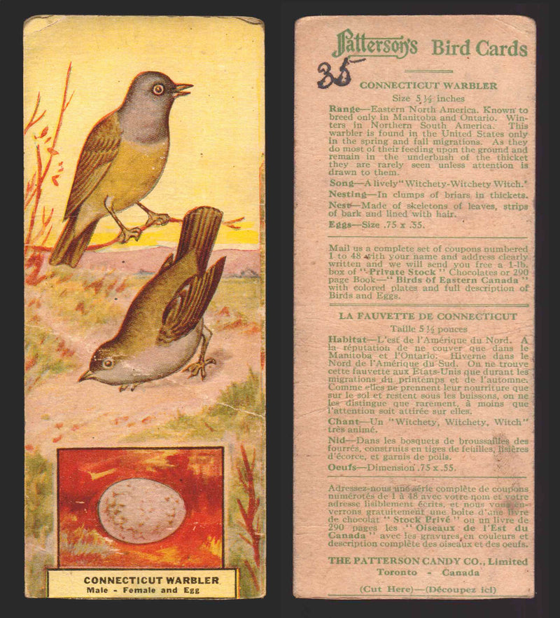 1924 Patterson's Bird Chocolate Vintage Trading Cards U Pick Singles #1-46 35 Connecticut Warbler  - TvMovieCards.com